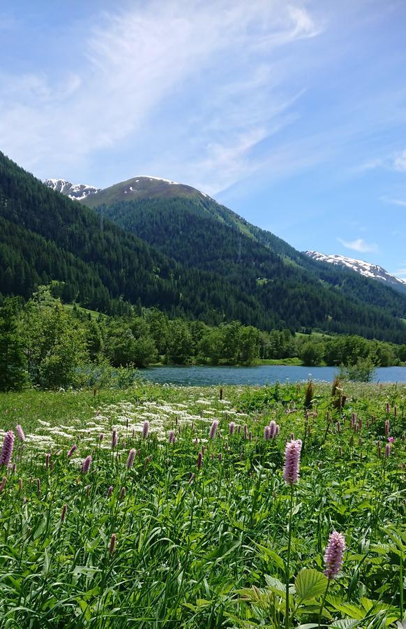 Hotel Nufenen Ulrichen Dış mekan fotoğraf