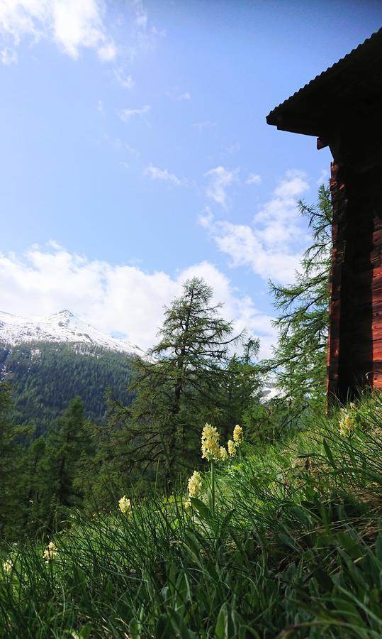 Hotel Nufenen Ulrichen Dış mekan fotoğraf